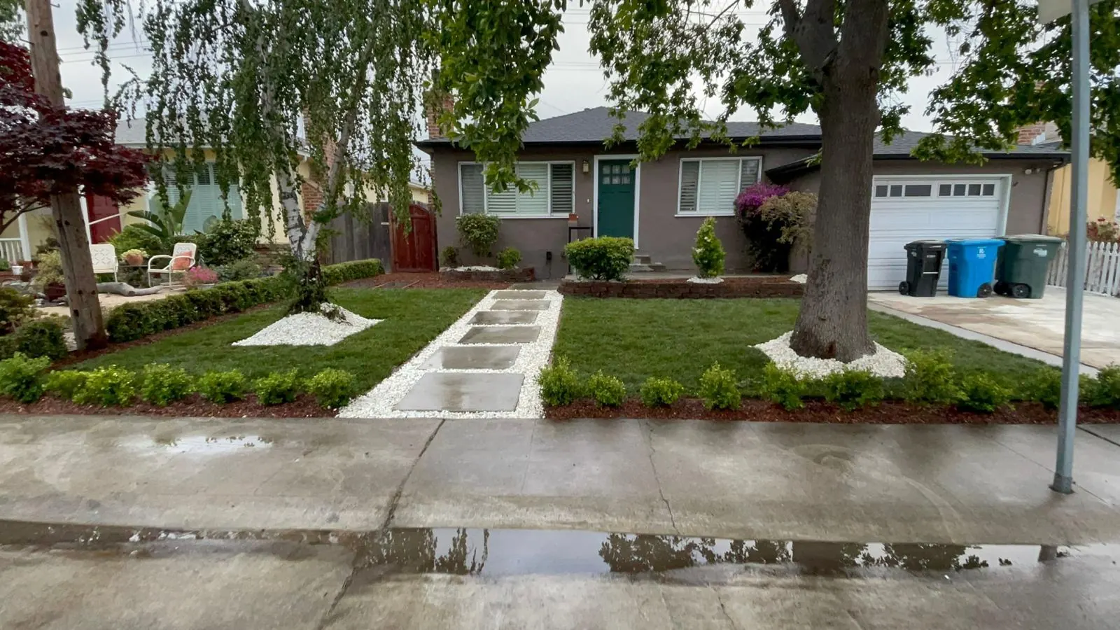 Front yard concrete walkway with new lawn and planting